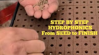 Hydroponic Seed to Finish STEP BY STEP [upl. by Alik]