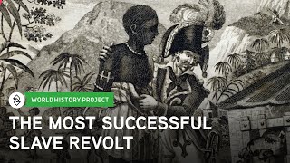 The Haitian Revolution and Its Causes  World History Project [upl. by Nyrb]