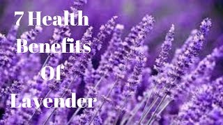 7 Health Benefits Of Lavender [upl. by Mirabel]