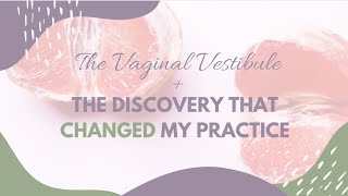 The Vaginal Vestibule  Anatomy amp Purpose [upl. by Mendie]