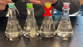 Enzyme Experiments Factors That Affect Enzyme Activity [upl. by Kaete]