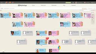 Using MyHeritage Tools to Improve Your Family Tree Data [upl. by Odysseus]