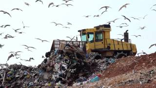 Landfill facts and statistics  A global problem [upl. by Englebert]