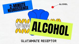 2Minute Neuroscience Alcohol [upl. by Bainbrudge217]