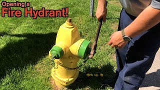 How a Fire Hydrant Works [upl. by Dominick]