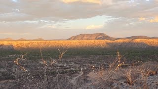 Ecosystems and drought [upl. by Aluk]