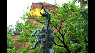 Wawel Dragon Smok Wawelski  Fire Breathing Dragon in Kraków [upl. by Torin]