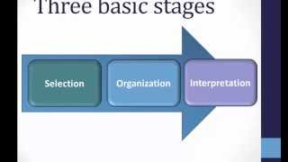 Perception Basics [upl. by Bashemeth]