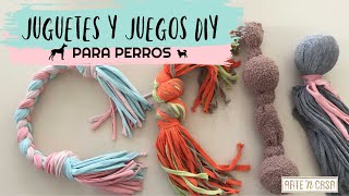 DIY juguetes y juegos para perros [upl. by Coster]