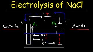 Electrolysis of Sodium Chloride  Electrochemistry [upl. by Idoux]