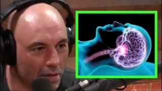 Joe Rogan  The Science of Sleep [upl. by Fiertz]