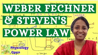 Weber Fechner law and Steven Power law  Sensory physiology lectures  CNS physiology mbbs 1st year [upl. by Crenshaw]