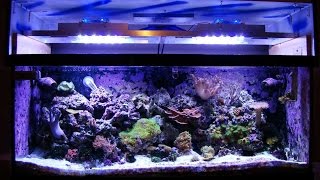 DIY How to build an LED Reef Tank Light with controller [upl. by Kcirdehs981]