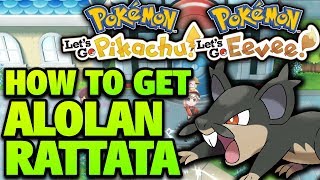 How to Get Alolan Rattata Location – Pokemon Lets Go Pikachu and Eevee Alolan Rattata Location [upl. by Niak104]