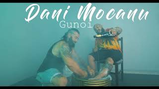 Dani Mocanu  GUNOI 🤮 1 Hour [upl. by Duyne252]