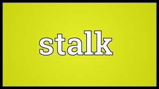 Stalk Meaning [upl. by Anisamot]