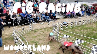 Pig Racing At Topsfield Fair  Wonderland [upl. by Auqinimod660]