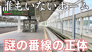 やまびこ号が唯一通過する駅に行ってきた。 [upl. by Enninaej]