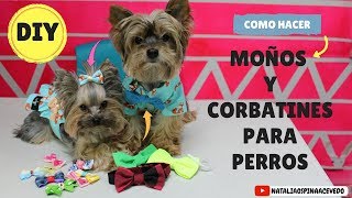 Como hacer moños y corbatines para perros  DIY Mascotas [upl. by Angelique]