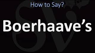 How to Pronounce synechiae  American English [upl. by Ahsekan]