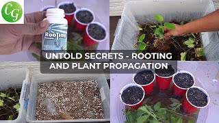 Secret Plant Cuttings Propagation Tips No One Will Tell You [upl. by Rubina]