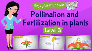 Pollination amp Fertilization in Plants  Science  Tutway [upl. by Gingras]