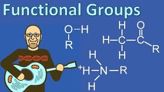 Functional Groups Explained so AP Bio Students can Understand [upl. by Elamef476]