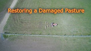 How to restore damaged pasture techniques [upl. by Forster]