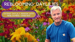 REBLOOMING DAYLILIES  Extend Daylily Season with Reblooming Daylilies [upl. by Aindrea]