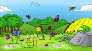 Plant A Pot For Pollinators  Butterfly Conservation [upl. by Havstad]