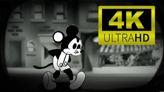 THE MAGROLO MOUSEAVI 4K ULTRAHD [upl. by Nanfa981]