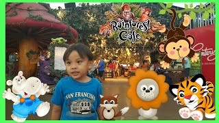 Rainforest Cafe [upl. by Adnahcal]