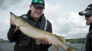 Lake Muskoka Walleye Northern Pike and Smallmouth Bass  Fishn Canada [upl. by Ttemme442]