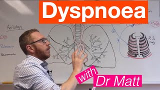 Dyspnoea  Respiratory System [upl. by Mullen]