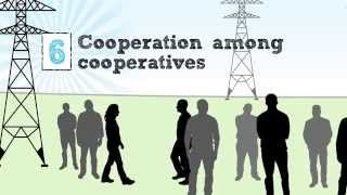 The Cooperative Business Model — The Seven Cooperative Principles [upl. by Lombardo]