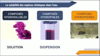 Solubilité des composés [upl. by Aimo591]