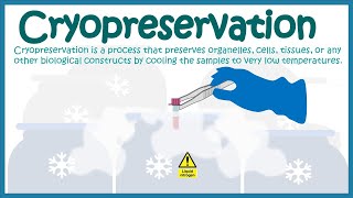 Cryopreservation  application and mechanism [upl. by Odille]