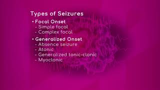 The Different Types of Seizures [upl. by Idona]