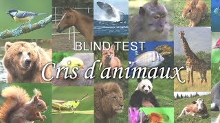 BLIND TEST  Cris danimaux [upl. by Charpentier]