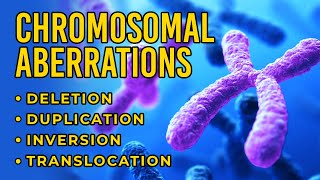 Chromosomal Aberrations  Deletion  Duplication  Inversion  Translocation [upl. by Edyaj]