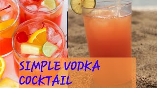 Simple Vodka Punch  Adult cocktails [upl. by Cohligan]