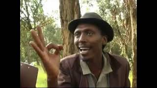 Eritrean comedy suzinino tafla and behabelom Trgum [upl. by Niletac314]