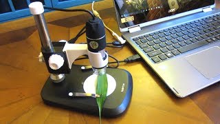 Koolertron USB Digital Microscope  How to Use Microscope [upl. by Oys]