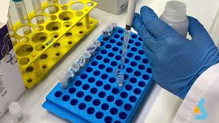 02  DNA Isolation from bacterial culture [upl. by Carlstrom631]