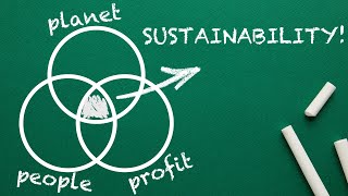 What is SUSTAINABILITY Explained By An Expert [upl. by Vasily]