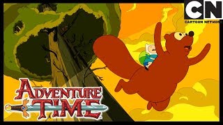 Adventure Time  Up a Tree  Cartoon Network [upl. by Rodney636]