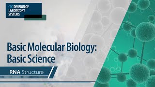 Basic Molecular Biology Basic Science – RNA Structure [upl. by Kristal]