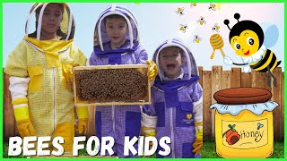 Learn About Bees for Kids  Pollination for Kids  Beekeeping for Kids [upl. by Adaran]