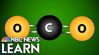 The Chemistry of CO2 Carbon Dioxide [upl. by Ebeohp]