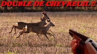 DOUBLE DE CHEVREUIL   Chasse en Bretagne [upl. by Obeng]